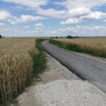 Ścieżka rowerowa: Wiślica - Opatowiec - Kazimierza Wlk. / Marta Gajda / Radio Kielce