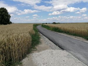 Ścieżka rowerowa: Wiślica - Opatowiec - Kazimierza Wlk. / Marta Gajda / Radio Kielce