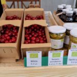 16.07.2020. Kielce. Otwarcie sklepu „Silni z natury” / Piotr Kwaśniewski / Radio Kielce