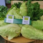 16.07.2020. Kielce. Otwarcie sklepu „Silni z natury” / Piotr Kwaśniewski / Radio Kielce