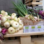 16.07.2020. Kielce. Otwarcie sklepu „Silni z natury” / Piotr Kwaśniewski / Radio Kielce