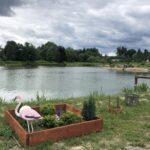 19.07.2020. Zawidza. Stawy rybne / Grażyna-Szlęzak-Wójcik / Radio Kielce