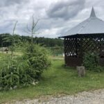 19.07.2020. Zawidza. Stawy rybne / Grażyna-Szlęzak-Wójcik / Radio Kielce