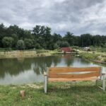 19.07.2020. Zawidza. Stawy rybne / Grażyna-Szlęzak-Wójcik / Radio Kielce