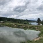 19.07.2020. Zawidza. Stawy rybne / Grażyna-Szlęzak-Wójcik / Radio Kielce