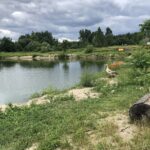 19.07.2020. Zawidza. Stawy rybne / Grażyna-Szlęzak-Wójcik / Radio Kielce