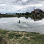 19.07.2020. Zawidza. Stawy rybne / Grażyna-Szlęzak-Wójcik / Radio Kielce