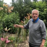 19.07.2020. Sandomierz. Lilie państwa Czerwińskich. Na zdjęciu: Marceli Czerwiński / Grażyna Szlęzak-Wójcik / Radio Kielce