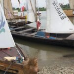 25.07.2020. Sandomierz. Dzień Wisły / Grażyna Szlęzak-Wójcik / Radio Kielce