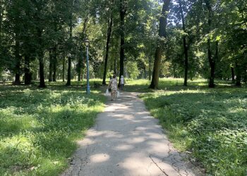 28.07.2020. Sandomierz. Park miejski / Grażyna Szlęzak-Wójcik / Radio Kielce