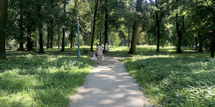 28.07.2020. Sandomierz. Park miejski / Grażyna Szlęzak-Wójcik / Radio Kielce