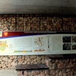 17.07.2020. Kielce. Ścieżka edukacyjna na Kadzielni / Faustyna Terelak / Radio Kielce