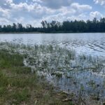 05.07.2020. Lipowica. Rewitalizacja otoczenia zbiornika wodnego / Monika Miller / Radio Kielce