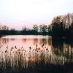 Podlasie / Danuta Rasała