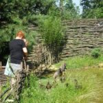 05.07.2020. Kopiec. Otwarcie wioski neolitycznej dla turystów / Emilia Sitarska / Radio Kielce