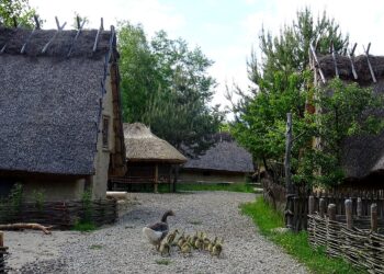 26.05.2020. Kopiec. Wioska neolityczna z czasów panowania kultury pucharów lejkowatych / Emilia Sitarska / Radio Kielce