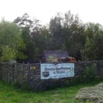 26.05.2020. Kopiec. Wioska neolityczna z czasów panowania kultury pucharów lejkowatych / Emilia Sitarska / Radio Kielce