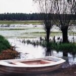 Podlasie / Danuta Rasała