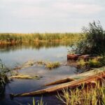 Podlasie / Danuta Rasała