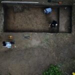 Ostrowiec Świętokrzyski. Badania archeologiczne w Częstocicach / Kamil Kaptur / Muzeum Historyczno-Archeologiczne