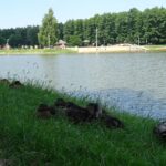 25.07.2020. Ostrowiec Świętokrzyski. Ośrodek Rekreacyjny „Gutwin” / Emilia Sitarska / Radio Kielce