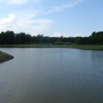 25.07.2020. Ostrowiec Świętokrzyski. Ośrodek Rekreacyjny „Gutwin” / Emilia Sitarska / Radio Kielce