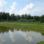 25.07.2020. Ostrowiec Świętokrzyski. Ośrodek Rekreacyjny „Gutwin” / Emilia Sitarska / Radio Kielce