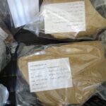 Ostrowiec Świętokrzyski. Badania archeologiczne w Częstocicach / Emilia Sitarska / Radio Kielce