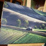 24.07.2020. Kielce. Wystawa fotografii " Krajobraz niepokorny" w WDK / Wiktor Taszłow / Radio Kielce