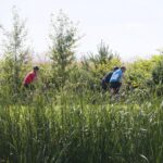 25.07.2020. Wilków. Kąpielisko / Wiktor Taszłow / Radio Kielce