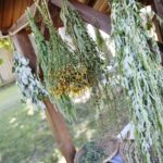 26.07.2020. Tokarnia. Park Etnograficzny / Wiktor Taszłow / Radio Kielce