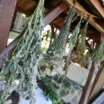 26.07.2020. Tokarnia. Park Etnograficzny / Wiktor Taszłow / Radio Kielce