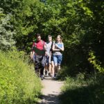 05.07.2020. Kielce. Spacer w ramach akcji „Kielce Naturalnie”. Wietrznia / Wiktor Taszłow / Radio Kielce