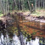 Podlasie / Danuta Rasała