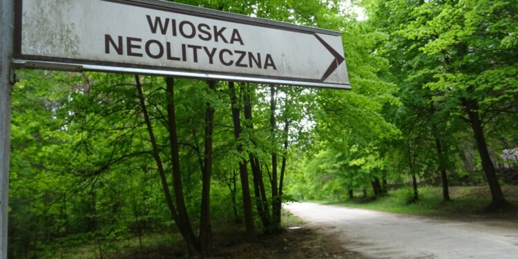 31.05.2020 Krzemionki Opatowskie. Rezerwat Krzemionki. Osada neolityczna / Emilia Sitarska / Radio Kielce