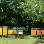 11.07.2020. Muzyczne podróże. Dolny Śląsk / Grażyna Woźniczka