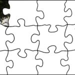 21.08.2020. Fotopuzzle z Radiem Kielce - element nr 1 / Radio Kielce