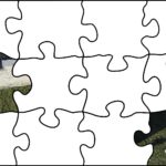 07.08.2020. Fotopuzzle z Radiem Kielce - element nr 2 / Radio Kielce