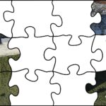 07.08.2020. Fotopuzzle z Radiem Kielce - element nr 4 / Radio Kielce