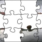 10.08.2020. Fotopuzzle z Radiem Kielce - element nr 5 / Radio Kielce