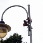 05.08.2020 Bilcza. Akcja ratowania sowy / OSP Bilcza