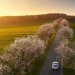 Opolszczyzna / Grażyna Woźniczka