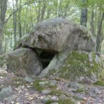 Muzyczne Podróże. Pomorze. Borkowo / Danuta Rasała