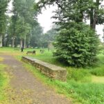 05.08.2020. Fałków. Ruiny zamku / Magdalena Galas-Klusek / Radio Kielce