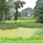 05.08.2020. Fałków. Ruiny zamku / Magdalena Galas-Klusek / Radio Kielce