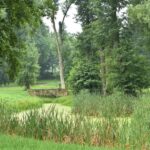 05.08.2020. Fałków. Ruiny zamku / Magdalena Galas-Klusek / Radio Kielce