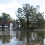 Muzyczne podróże. Opole (08.08.2020) / Robert Felczak / Radio Kielce