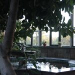 Muzyczne podróże. Opolszczyzna - Zamek w Mosznej / Robert Felczak / Radio Kielce