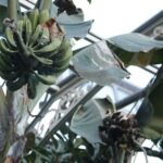 Muzyczne podróże. Opolszczyzna - Zamek w Mosznej / Robert Felczak / Radio Kielce