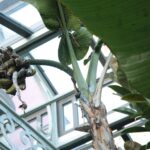 Muzyczne podróże. Opolszczyzna - Zamek w Mosznej / Robert Felczak / Radio Kielce